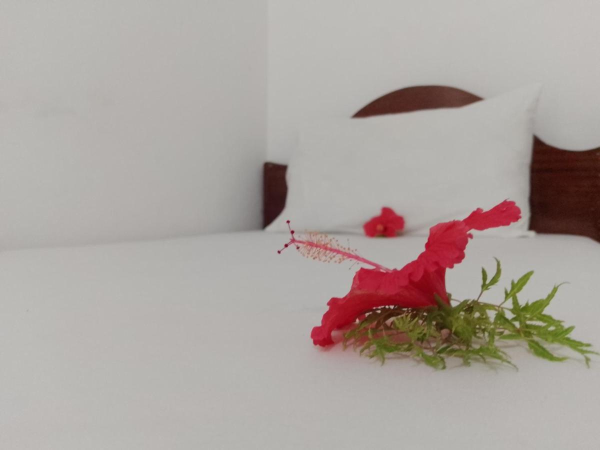 H & H Bungalows 눙귀 외부 사진