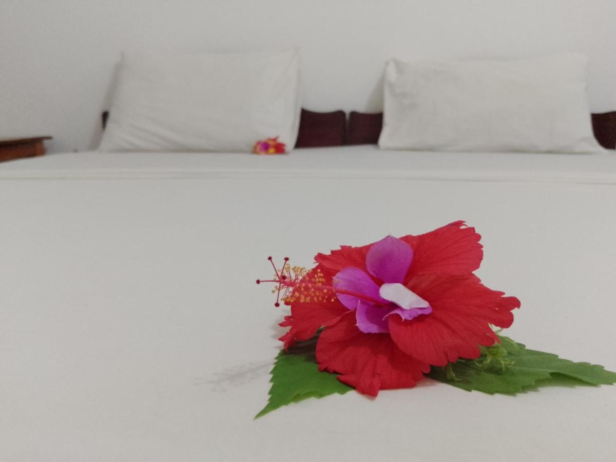 H & H Bungalows 눙귀 외부 사진